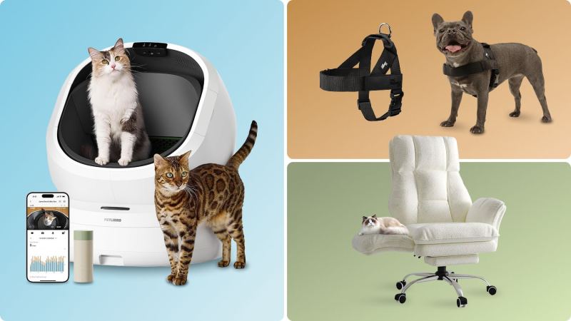 Editor-recommended pet products that actually make your life better